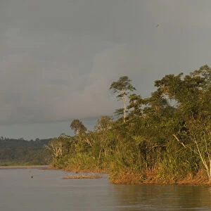 Napo River. near Coca (San Franciso de Orellana) Town. Amazon Rain Forest. ECUADOR