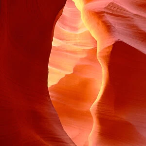 NASC-240a Glowing sandstone walls. Lower Antelope Canyon, Navajo Nation, Arizona