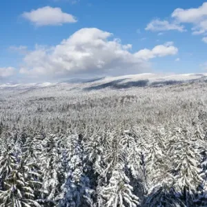 National Park Bavarian Forest (Bayerischer Wald) in the deep of winter. View towards mount Lusen National Park Bavarian Forest (Bayerischer Wald) in the deep of winter. View towards mount Lusen