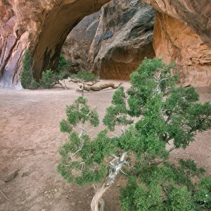 Navajo Arch, Arches National Park, Utah, USA