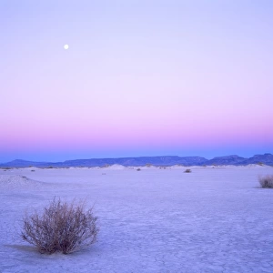 Nevada. USA. Moon over alkali playa at dawn. Railroad Valley. Great Basin