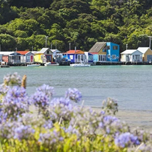 New Zealand, North Island, Paremata, houses along Porirua Harbour