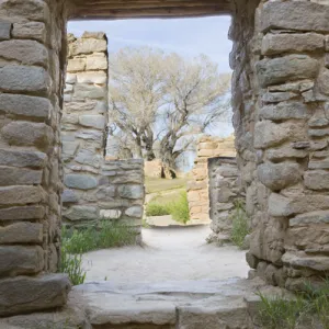 Images Dated 2007 May: 1 May 2007