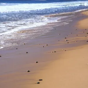north America, Canada, Nova Scotia, beach near the Cabot Trail, Cape Beton