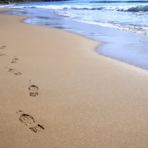 North America, Canada, Nova Scotia, footprints in the sand near the Cabot Trail