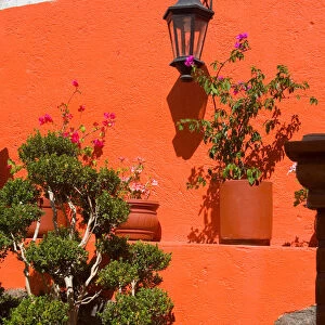 North America, Mexico, Guanajuato. Colorful wall with lantern and potted plants