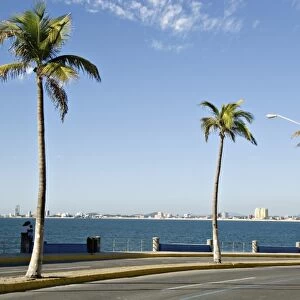 North America, Mexico, Mazatlan. Skyline looking north from Paseo Claussen