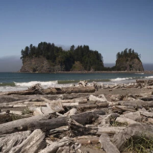 North America, United States, Washington, La Push, driftwood on First Beach with