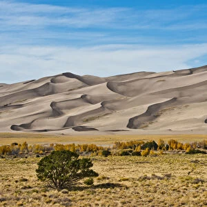 North America, USA, Colorado, Alamosa, Great Sand Dunes National Park and Preserve