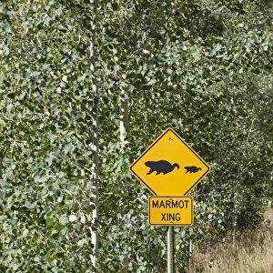 North America - USA - Colorado - Rocky Mountains - Sign on road to Maroon Bells near