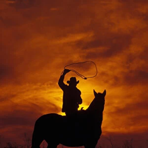 North America, USA, Idaho. Cowboy at sunset