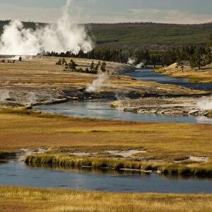 North America, USA, Montana, Yellowstone NP, Landscape