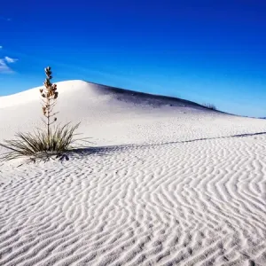 North America; USA; New Mexico, White Sands National Monument; Sand Dune Patterns