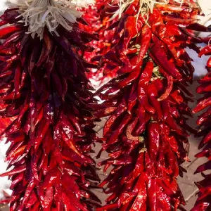 North America; USA; New Mexico; Sant Fe; Red Chili peppers on string. Santa Fe
