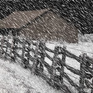 North America, USA, North Carolina, Blue Ridge Parkway, infrared digitally altered image of barn