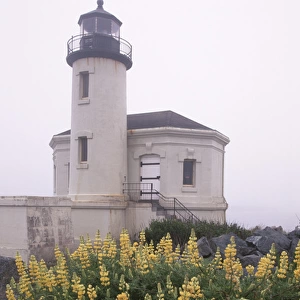 North America, USA, Oregon, near Bandon Coquille River Lighthouse along the Oregon