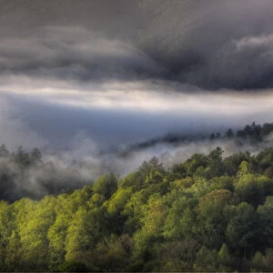 North America, USA, Tennessee; Foggy morning at Cades Cove in the Smokies