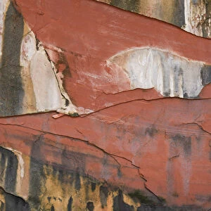 North America, USA, Utah. Abstract design formed from seeps in canyon wall, Double Arch Alcove