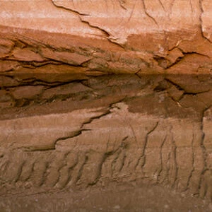 North America, USA, Utah, Glen Canyon National Recreation Area. Tapestry Wall area detail