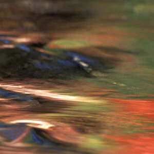North America, USA, Washington, Lake Wenatchee. Fall colored leaves reflecting in stream