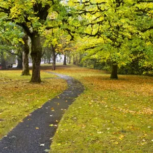 North America; USA; Washington; Newhalem; Trail leading through Autumn color in Newhalem North America; USA; Washington; Newhalem; Trail leading through Autumn color in Newhalem