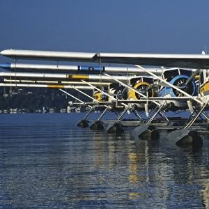 North America, USA, Washington, Seattle, Lake Washington. Sea planes docked
