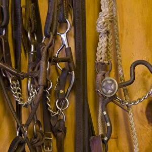 North America, USA, West. Riding gear for a horse, detail