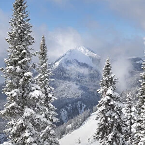 North Cascades in fresh winter snow. Manning Provincial Park, British Columbia