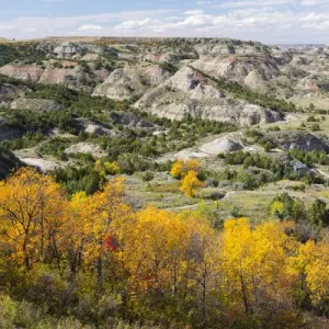 Prints of USA Prints: North Dakota