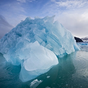 Norway, Svalbard, Spitsbergen Island, Deep blue icebergs floating near face of Sveabreen