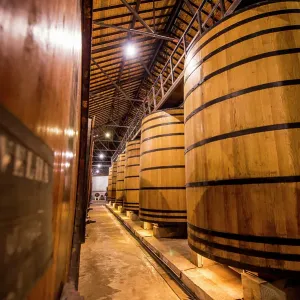 Oak vats and barrels, Real Companhia Velha winery and cellars, Gaia, Porto, Portugal. (Editorial Use Only) Oak vats and barrels, Real Companhia Velha winery and cellars, Gaia, Porto, Portugal. (Editorial Use Only)