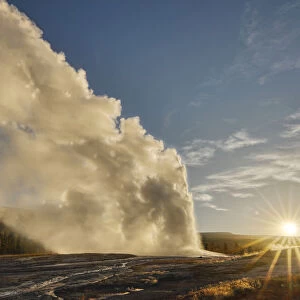 Old Faithful erupting at sunrise, Yellowstone National Park, Montana, USA