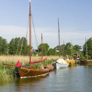 The old Harbour in Wieck at the Bodstedter Bodden close to the Western Pomerania Lagoon Area NP The old Harbour in Wieck at the Bodstedter Bodden close to the Western Pomerania Lagoon Area NP