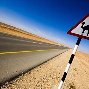 Oman, Marmul, road sign of camel crossing