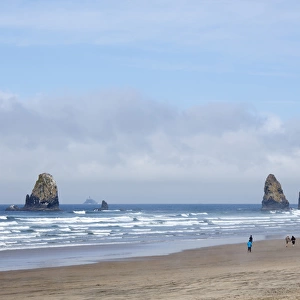 OR, Cannon Beach, Haystack Rock and fog