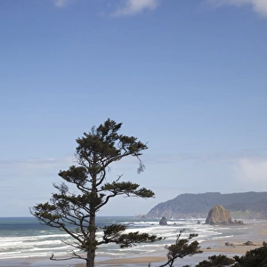 OR, Oregon Coast, Cannon Beach and Haystack Rock