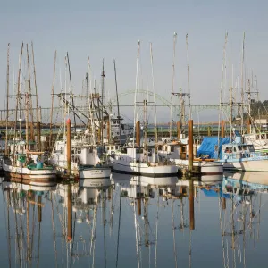Images Dated 2008 April: 3 Apr 2008