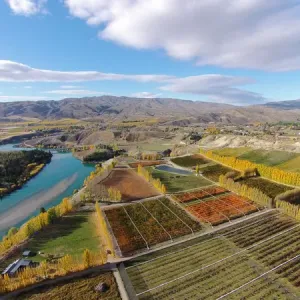 Orchards, poplar trees, and Lake Dunstan, Bannockburn, near Cromwell, Central Otago Orchards, poplar trees, and Lake Dunstan, Bannockburn, near Cromwell, Central Otago