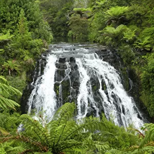 Owharoa Falls, Karangahake Gorge, near Paeroa, Waikato, North Island, New Zealand