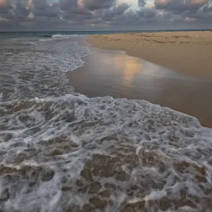 Pacific Islands, Kingdom of Tonga. Deserted sandy beach on an uninhabitated island
