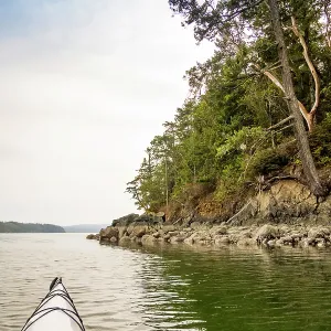 Paddling Hood Canal, Quilcene, Washington State, USA Paddling Hood Canal, Quilcene, Washington State, USA