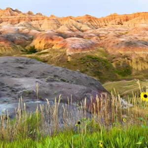 A painterly image of softer hoodoos set against a row of wildflowers and grass