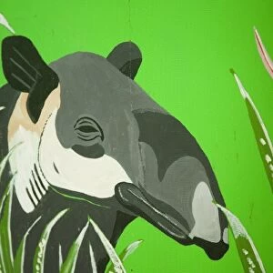 Painting of tapir, Belize Zoo, Belize