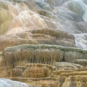 Palette Spring Terraces composed of travertine deposits colored by thermophilic bacteria. Mammoth Hot Springs, Yellowstone National Park Palette Spring Terraces composed of travertine deposits colored by thermophilic bacteria. Mammoth Hot Springs, Yellowstone National Park