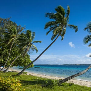Palm fringed white sand beach on an islet of Vavaa'u, Vavau islands, Tonga, South Pacific