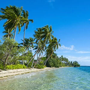 Palm fringed white sand beach on an islet of Vavaa'u, Vavau islands, Tonga, South Pacific