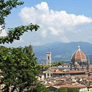 Panoramic view out over Florence from the Bardini Garden, The Bardini Garden, Florence (Firenze)