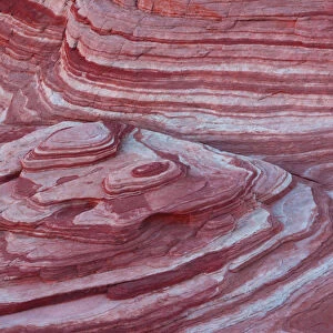 Pattern, Fire Wave, Valley of Fire State Park, Nevada, USA
