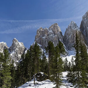 The peaks of the Geisler mountain range in valley Villnoess after a snow strom in spring