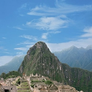 Peru, Machu Picchu, Llama grazes along the ancient lost city of the Inca